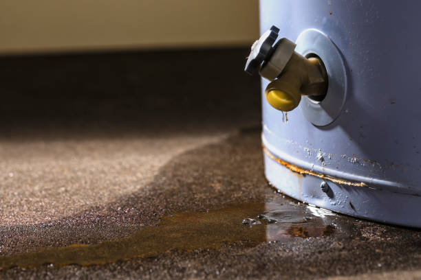 Best Water damage mitigation services  in Oak Grove, VA