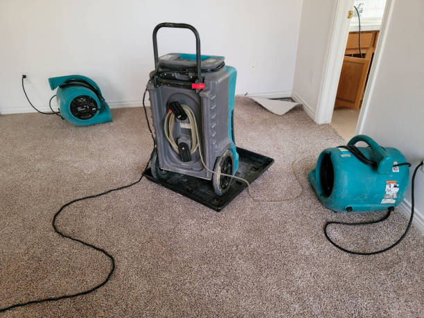 Best 24/7 water damage repair  in Oak Grove, VA