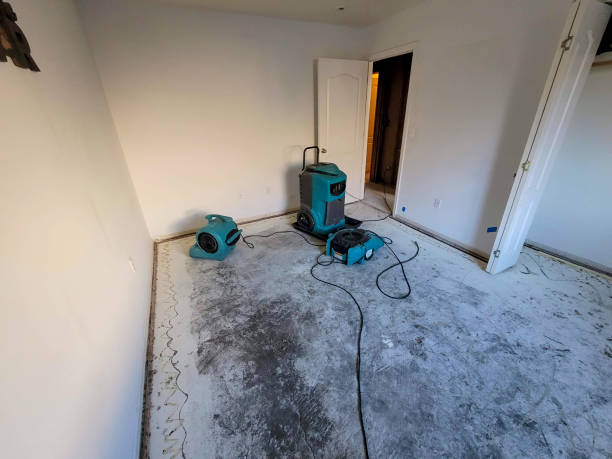 Best Mold removal after water damage  in Oak Grove, VA