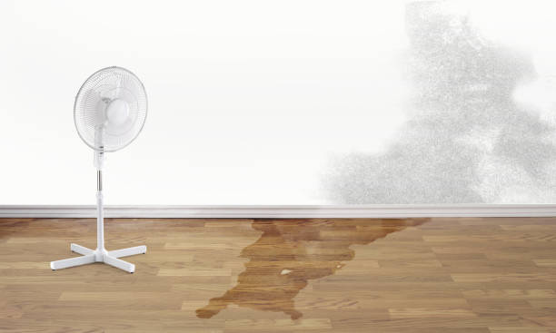 Trusted VA Water damage restoration Experts