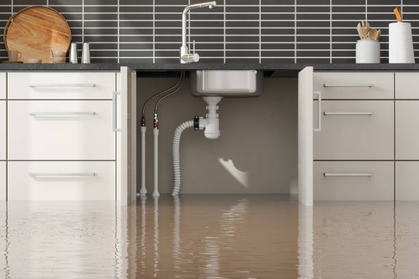 Best Basement water damage restoration  in Oak Grove, VA