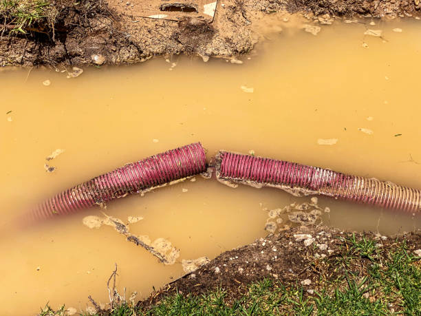 Best Flood damage cleanup  in Oak Grove, VA