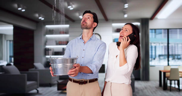 Best Water damage contractors near me  in Oak Grove, VA